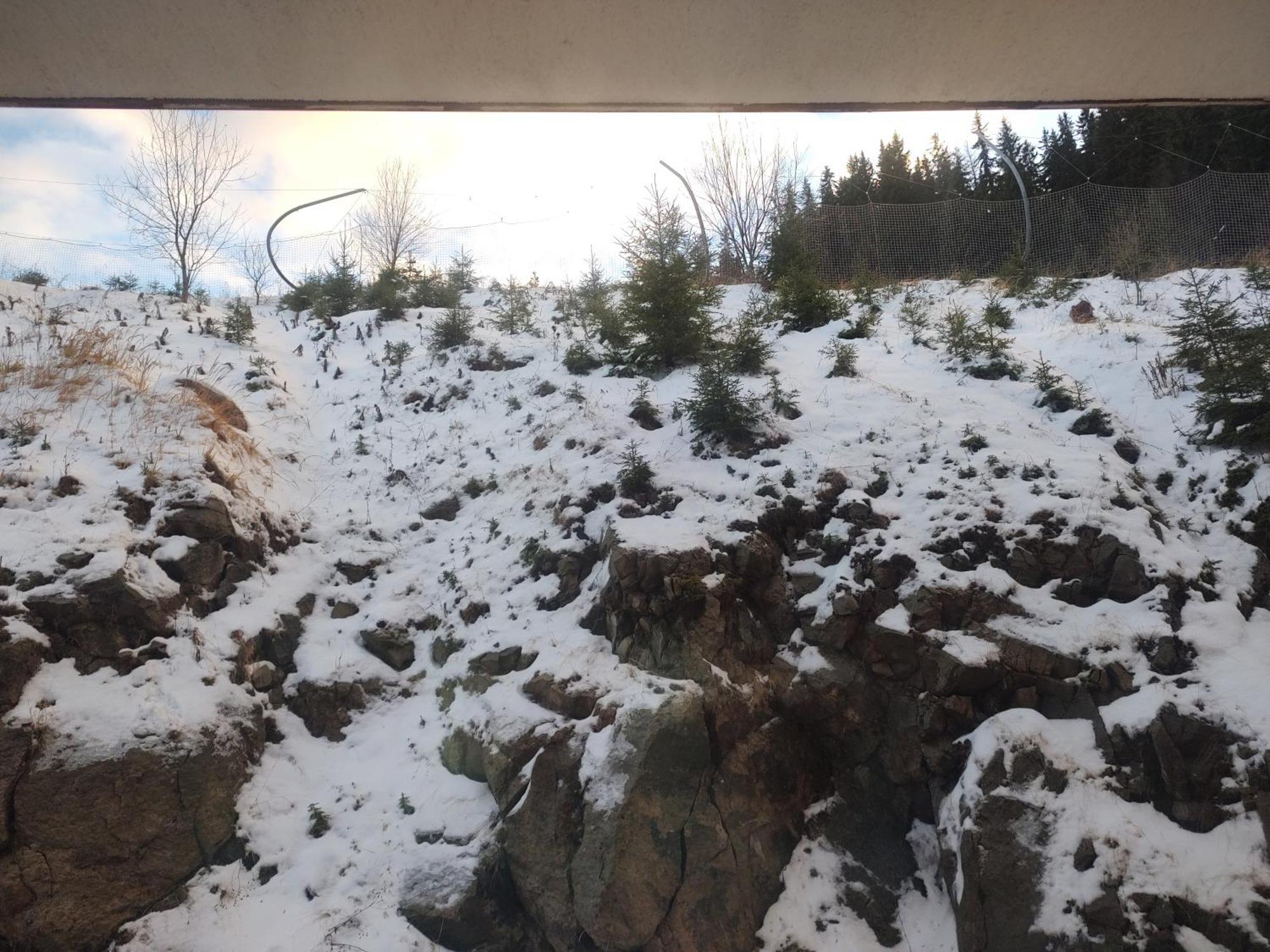 Arendo Ski Apartment In Grand Monastery 潘波洛沃 外观 照片